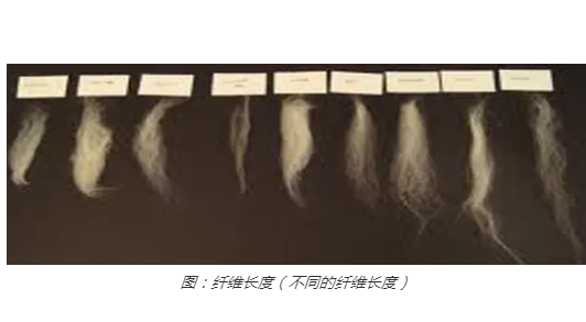 纖維長(zhǎng)度（不銹鋼纖維的基礎(chǔ)知識(shí)）