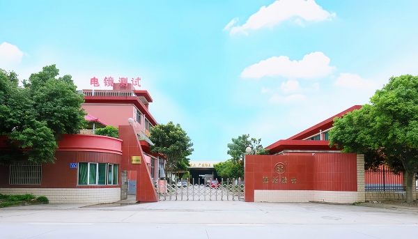 強綸